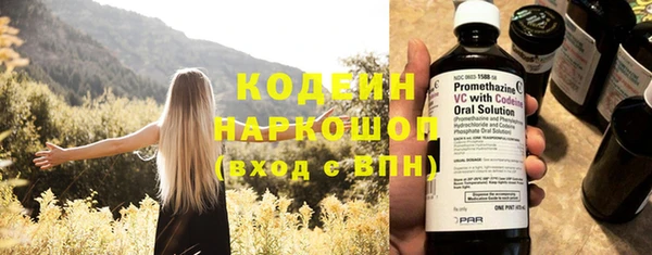 молекула духа Волосово