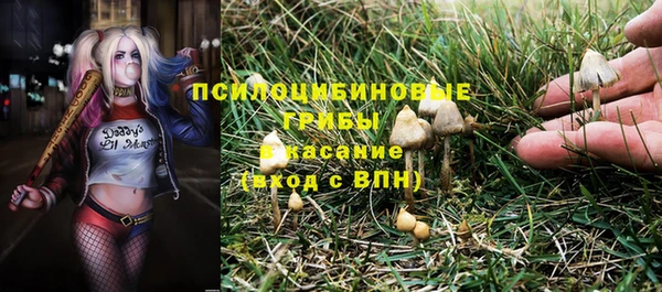 молекула духа Волосово